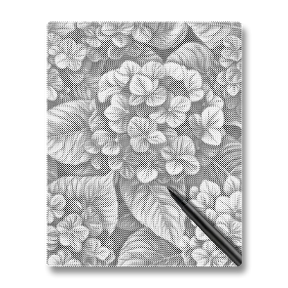 Hortensior i grupper - Prickmålning