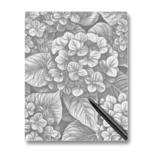 Hortensior i grupper - Prickmålning