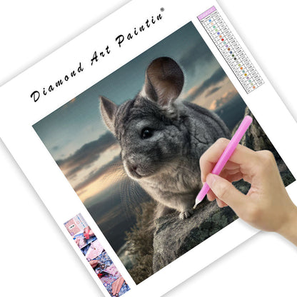 Chinchilla på klippa – Diamantmålning
