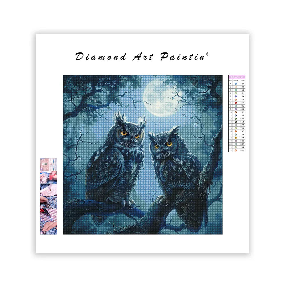 Owl Brothers - DiamantmåLning