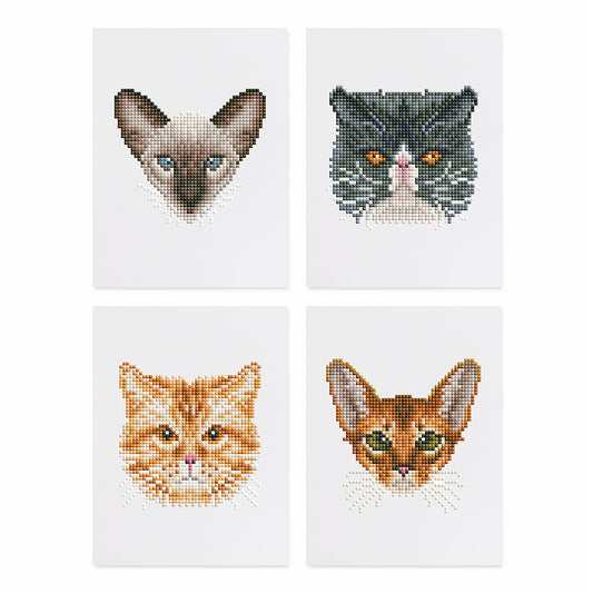 Mini-kattansikten-kollektion