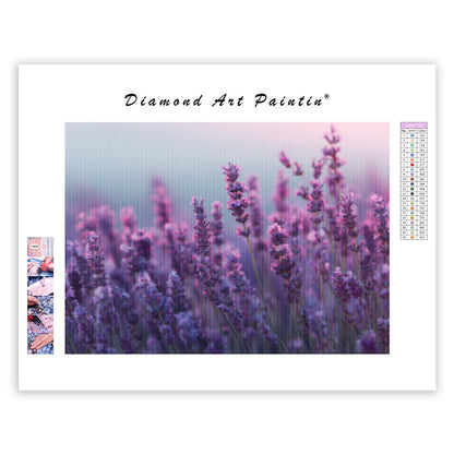 Lavendel – Diamantmålning