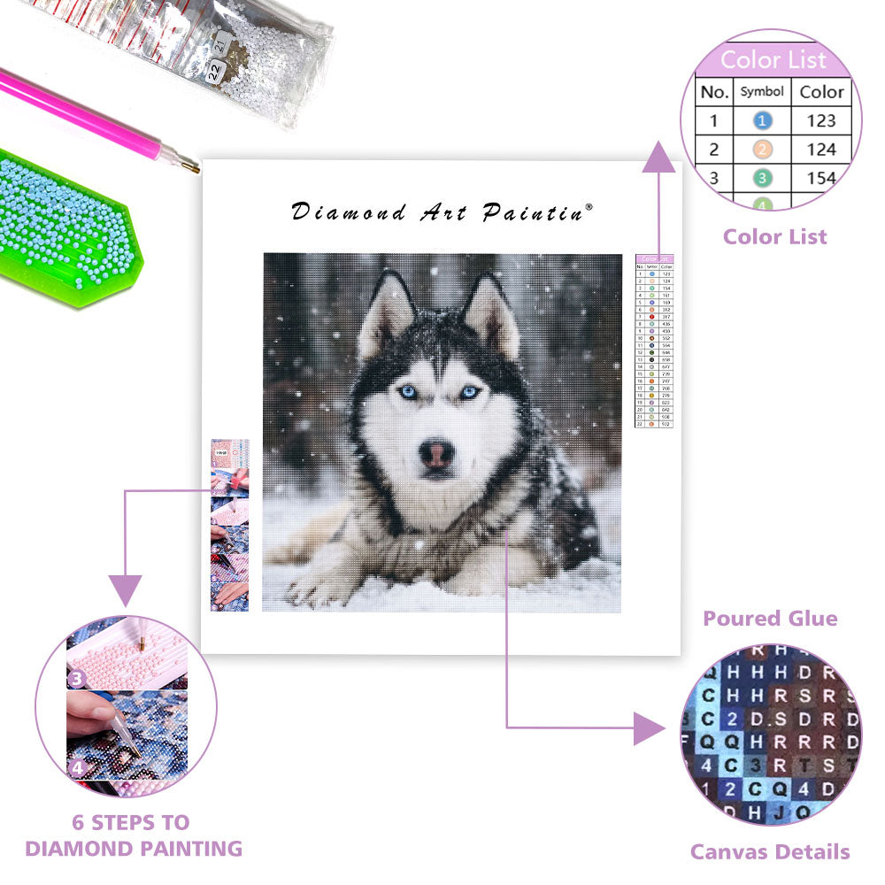 Husky i snön – Diamantmålning