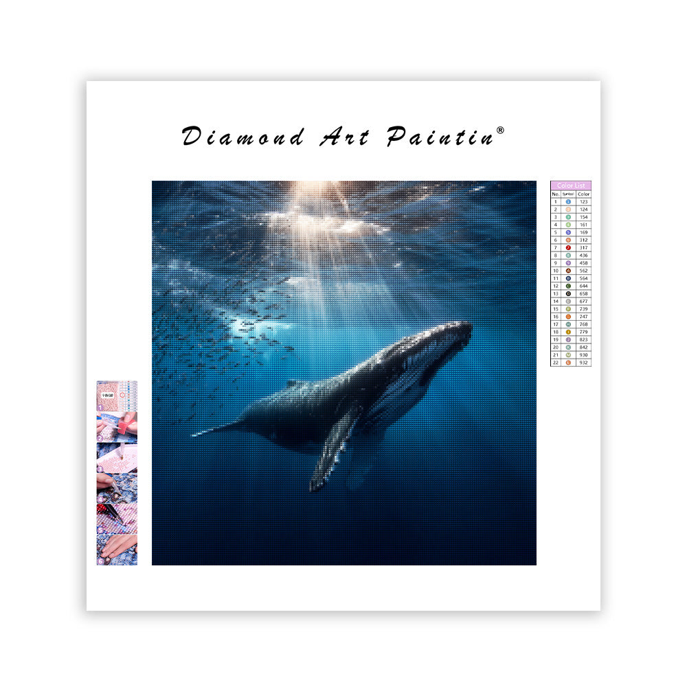 Knölval som stiger upp - Diamantmålning