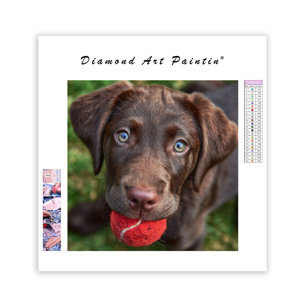 Lekfull labradorvalp - Diamantmålning