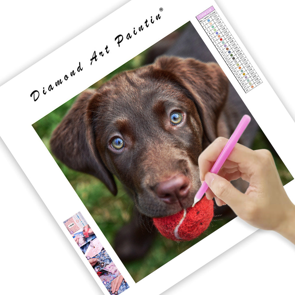 Lekfull labradorvalp - Diamantmålning