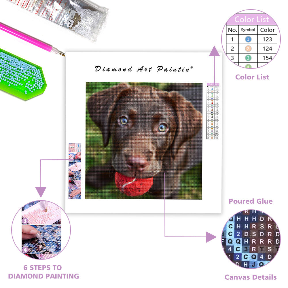 Lekfull labradorvalp - Diamantmålning