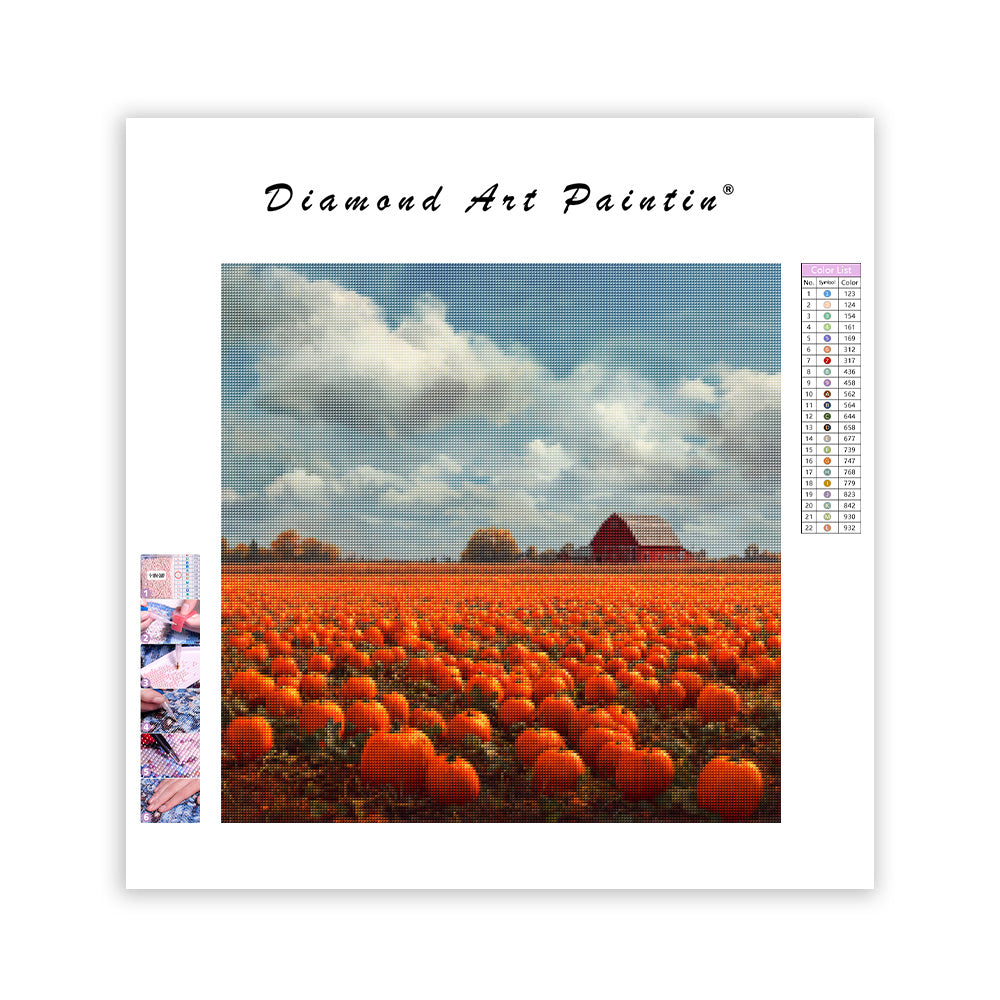 Pumpafältsskörd - Diamantmålning