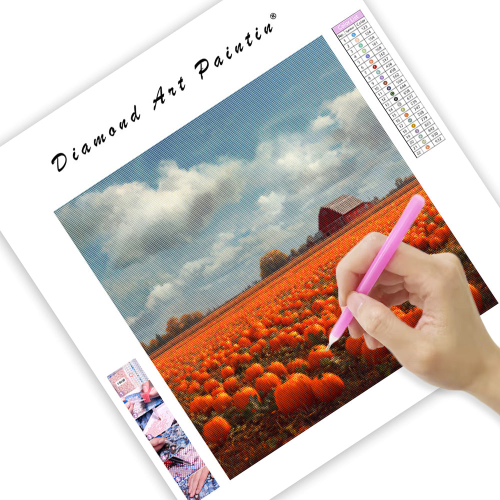 Pumpafältsskörd - Diamantmålning