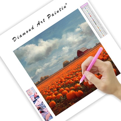 Pumpafältsskörd - Diamantmålning