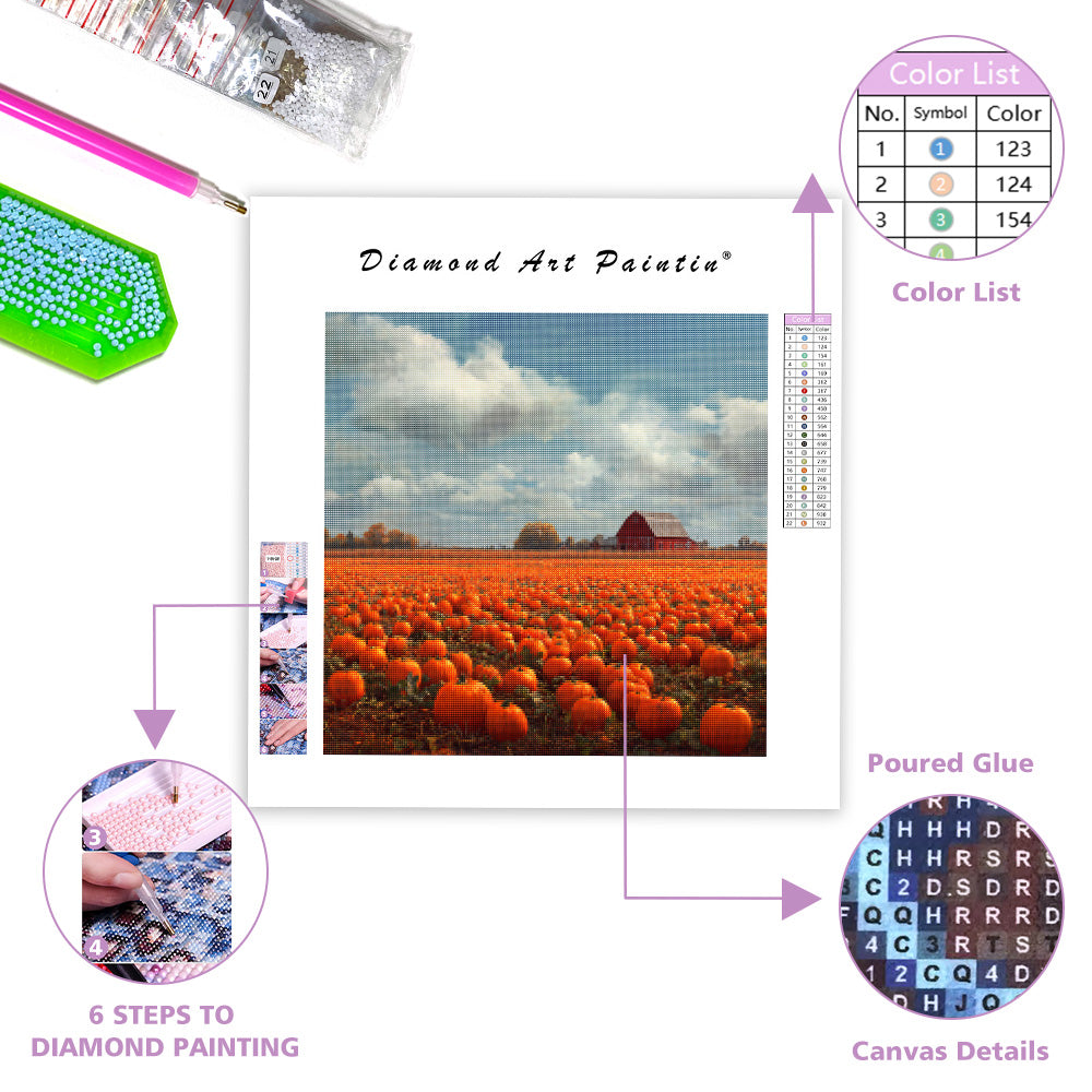 Pumpafältsskörd - Diamantmålning