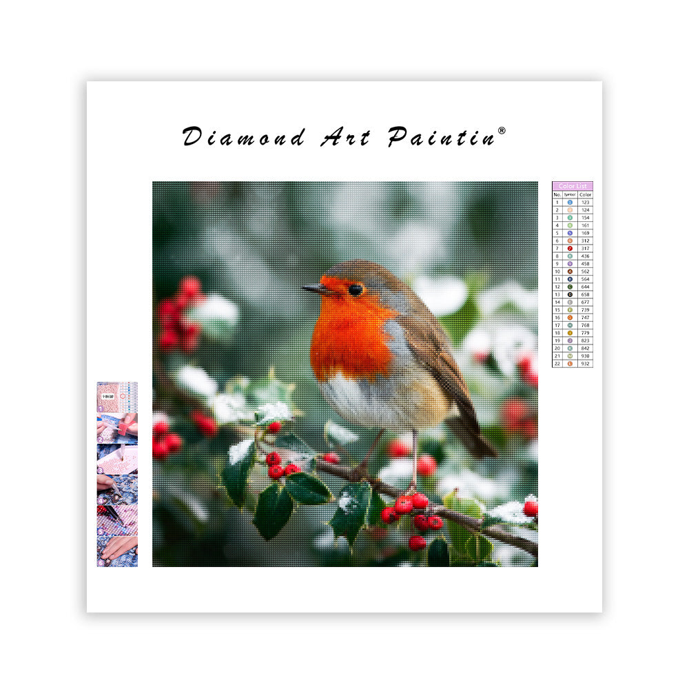 Rödhake på järnekgren - Diamantmålning