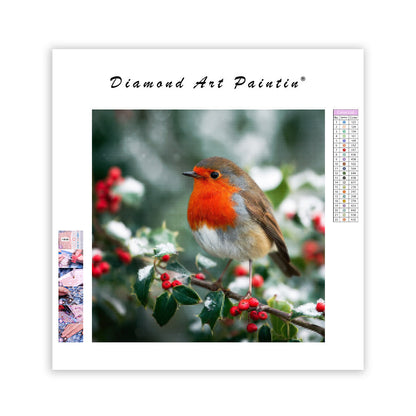 Rödhake på järnekgren - Diamantmålning