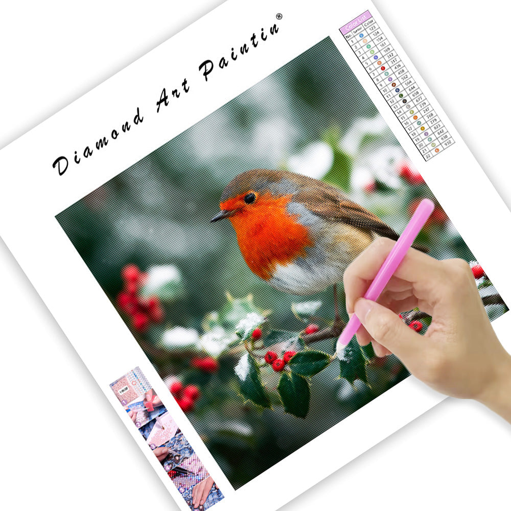 Rödhake på järnekgren - Diamantmålning