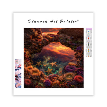 Solnedgångs tidvattenpool mikrokosmos - Diamantmålning