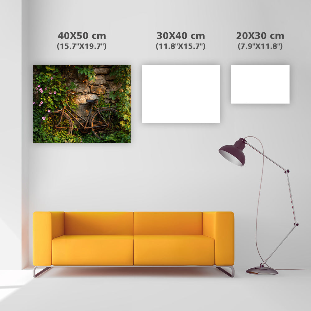 Cykel omfamnad av vinrankor - Diamantmålning