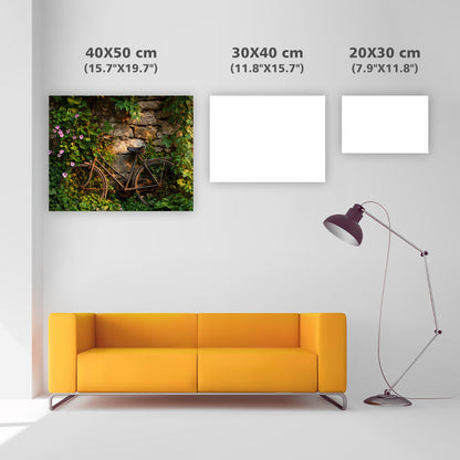 Cykel omfamnad av vinrankor - Diamantmålning