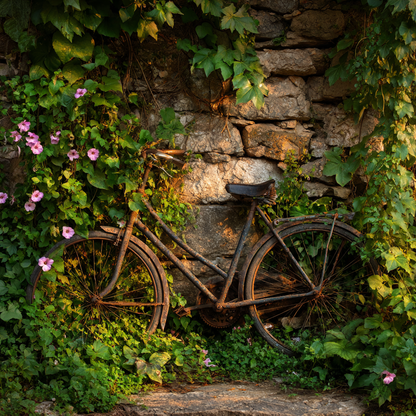 Cykel omfamnad av vinrankor - Diamantmålning