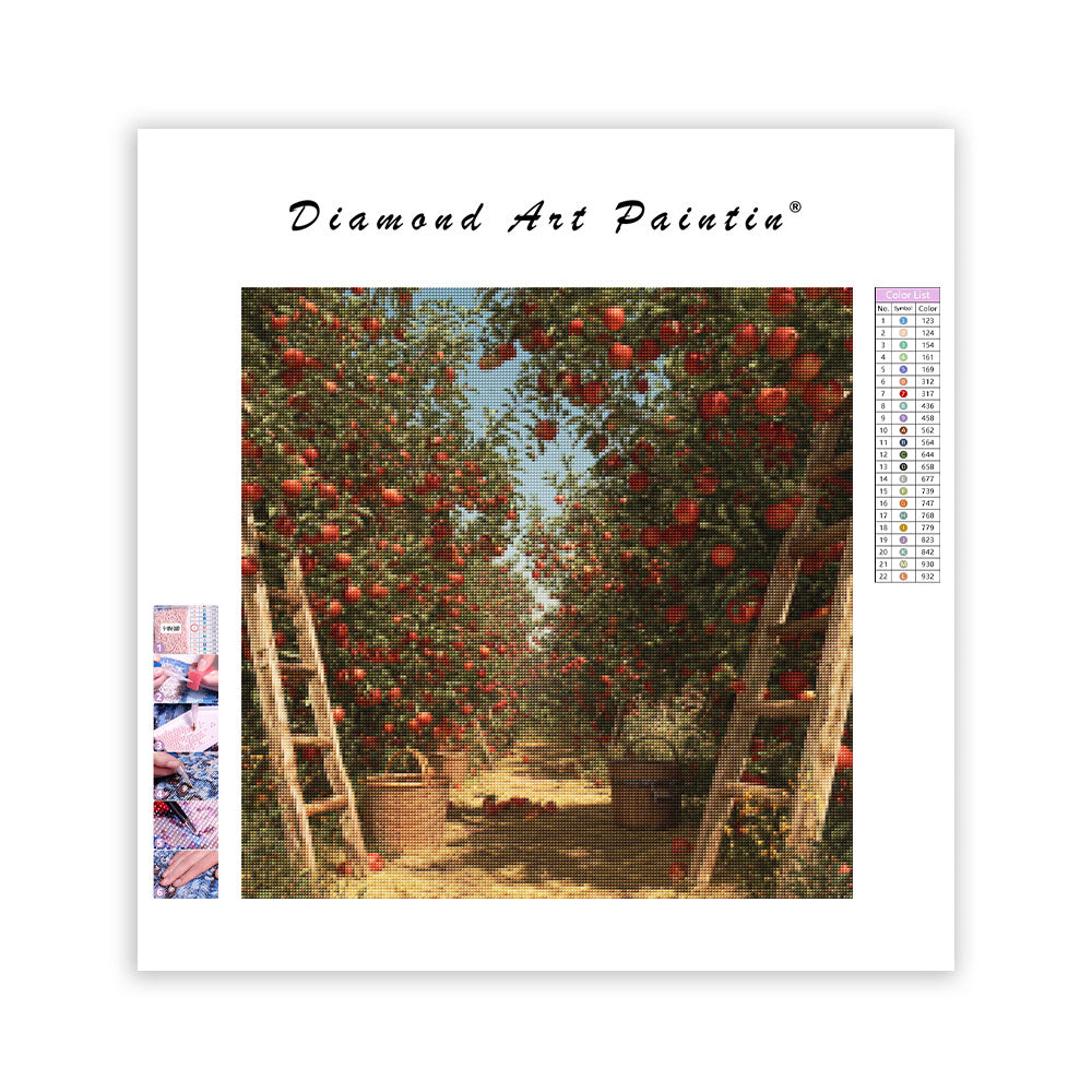 Äppelträdgårdsskörd - Diamantmålning