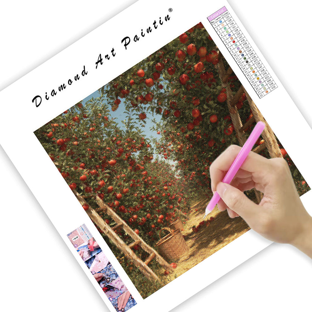 Äppelträdgårdsskörd - Diamantmålning