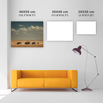 Bison på de stora slätterna - Diamantmålning