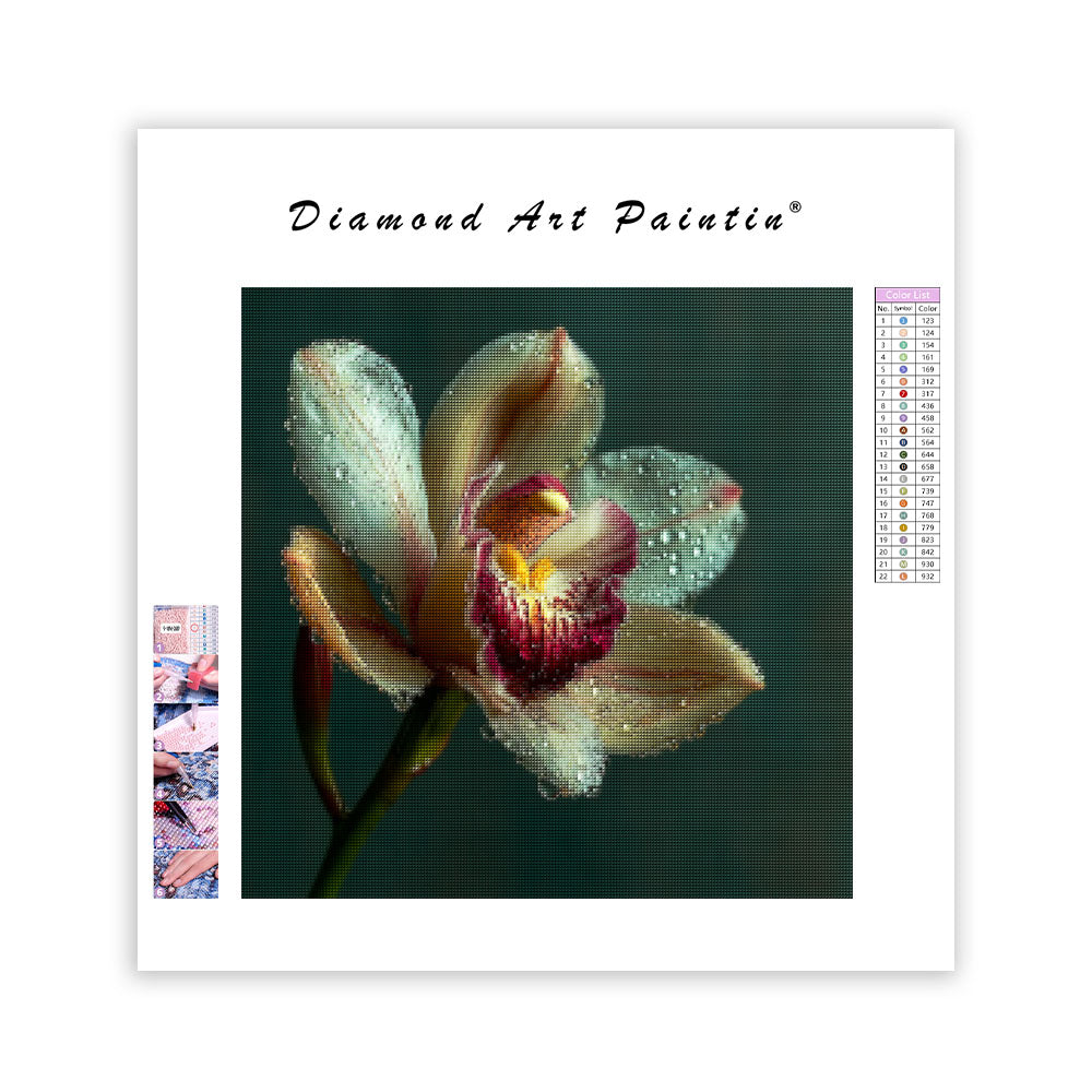 Elegant daggfrisk orkidé - Diamantmålning