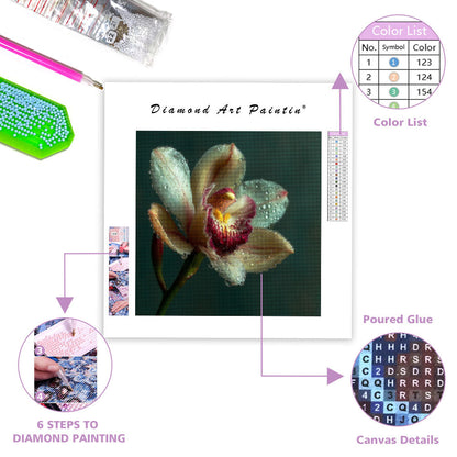 Elegant daggfrisk orkidé - Diamantmålning