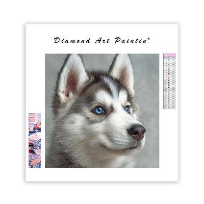 Nyfiken fluffig valp - Diamantmålning