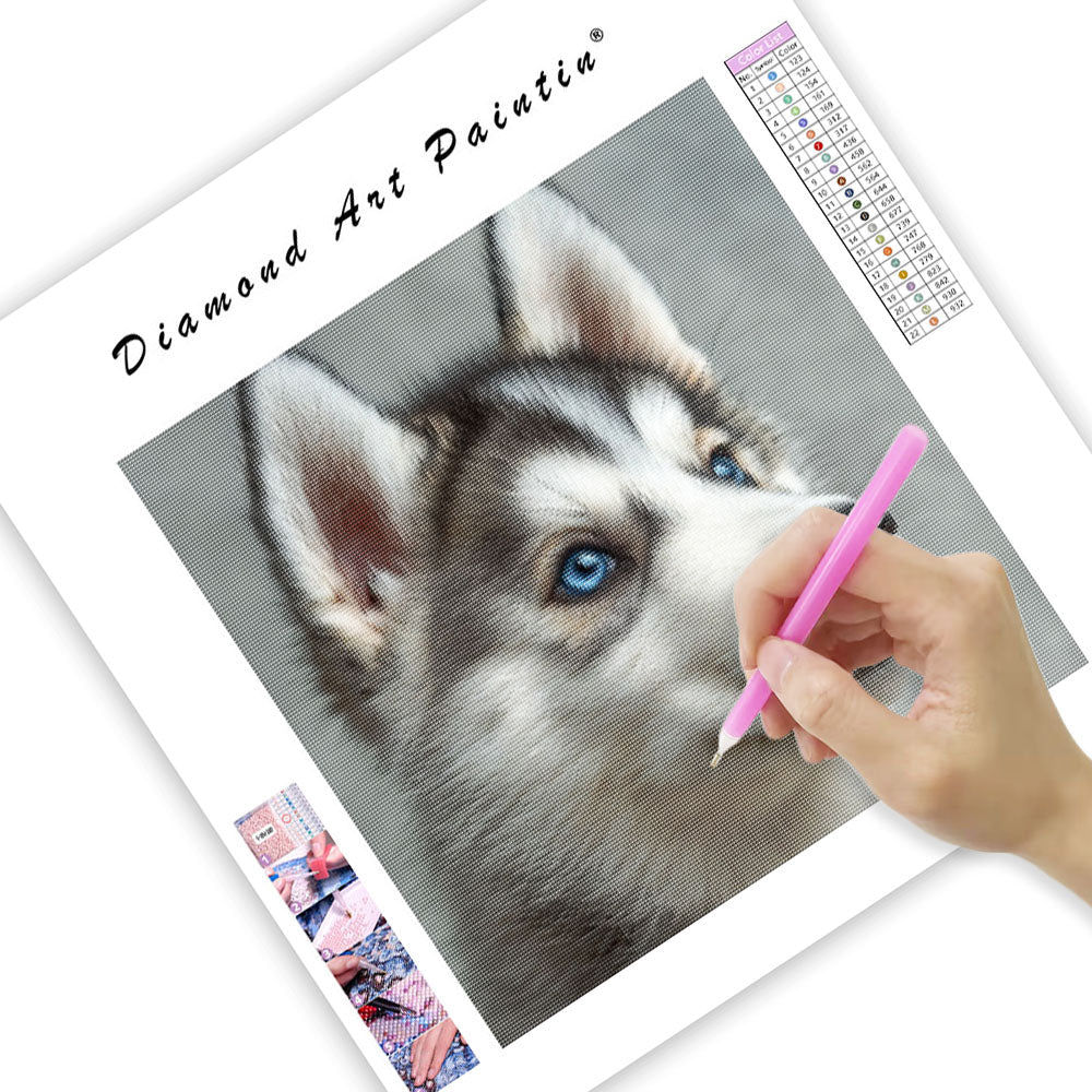 Nyfiken fluffig valp - Diamantmålning