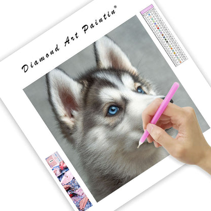 Nyfiken fluffig valp - Diamantmålning