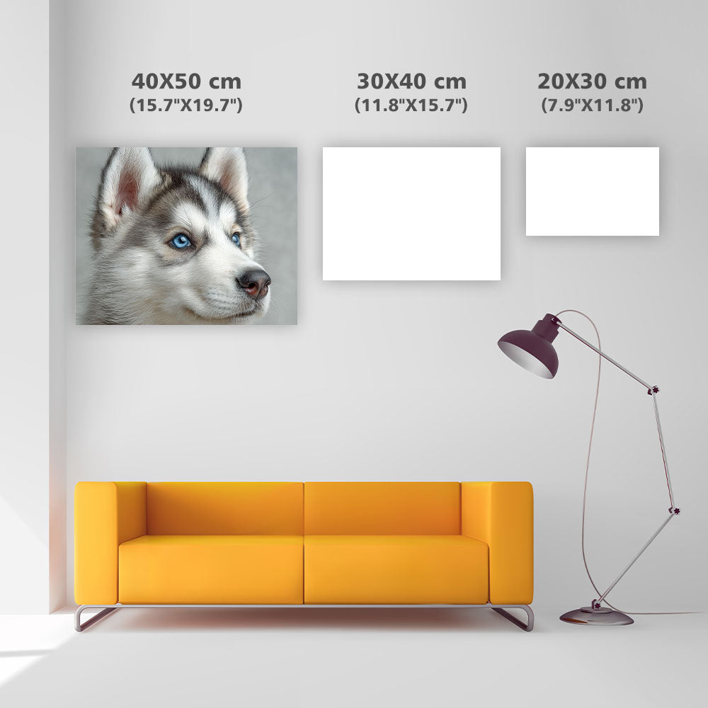 Nyfiken fluffig valp - Diamantmålning