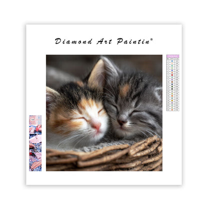 Kattungars gosiga sömn - Diamantmålning