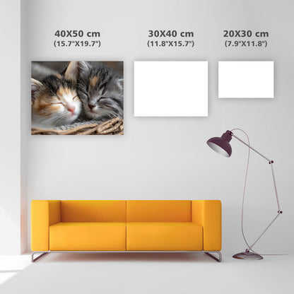 Kattungars gosiga sömn - Diamantmålning