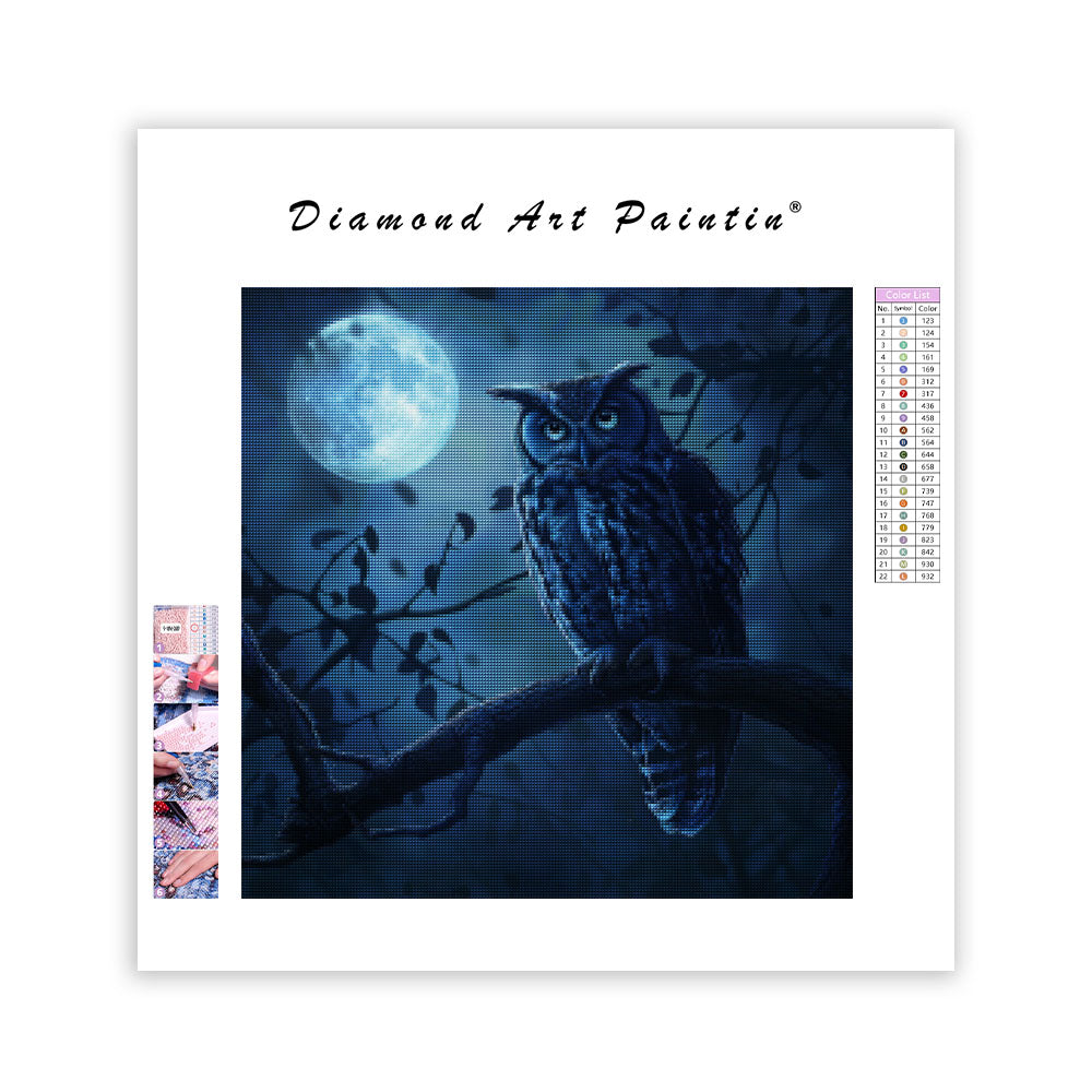 Månbelyst ugglaskådare - Diamantmålning