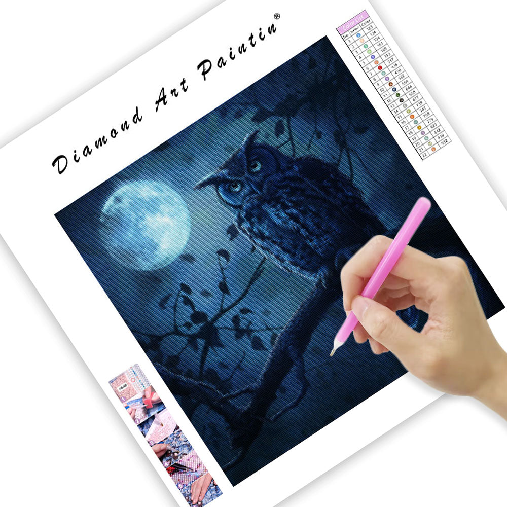 Månbelyst ugglaskådare - Diamantmålning