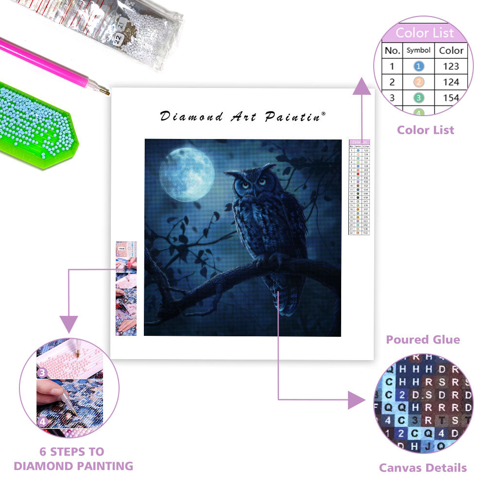 Månbelyst ugglaskådare - Diamantmålning