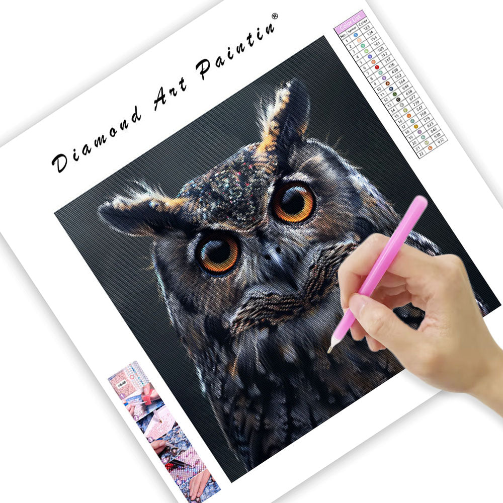 Owl Gnist - Diamantmålning