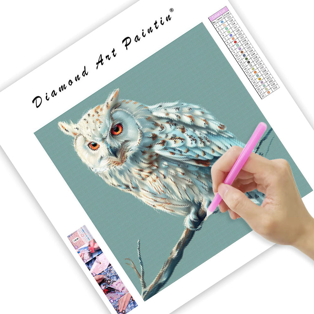 Fridfull Uggla - Diamantmålning