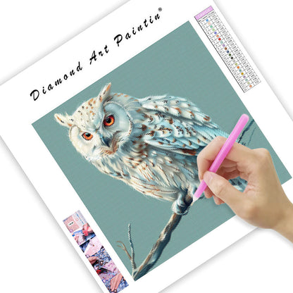 Fridfull Uggla - Diamantmålning