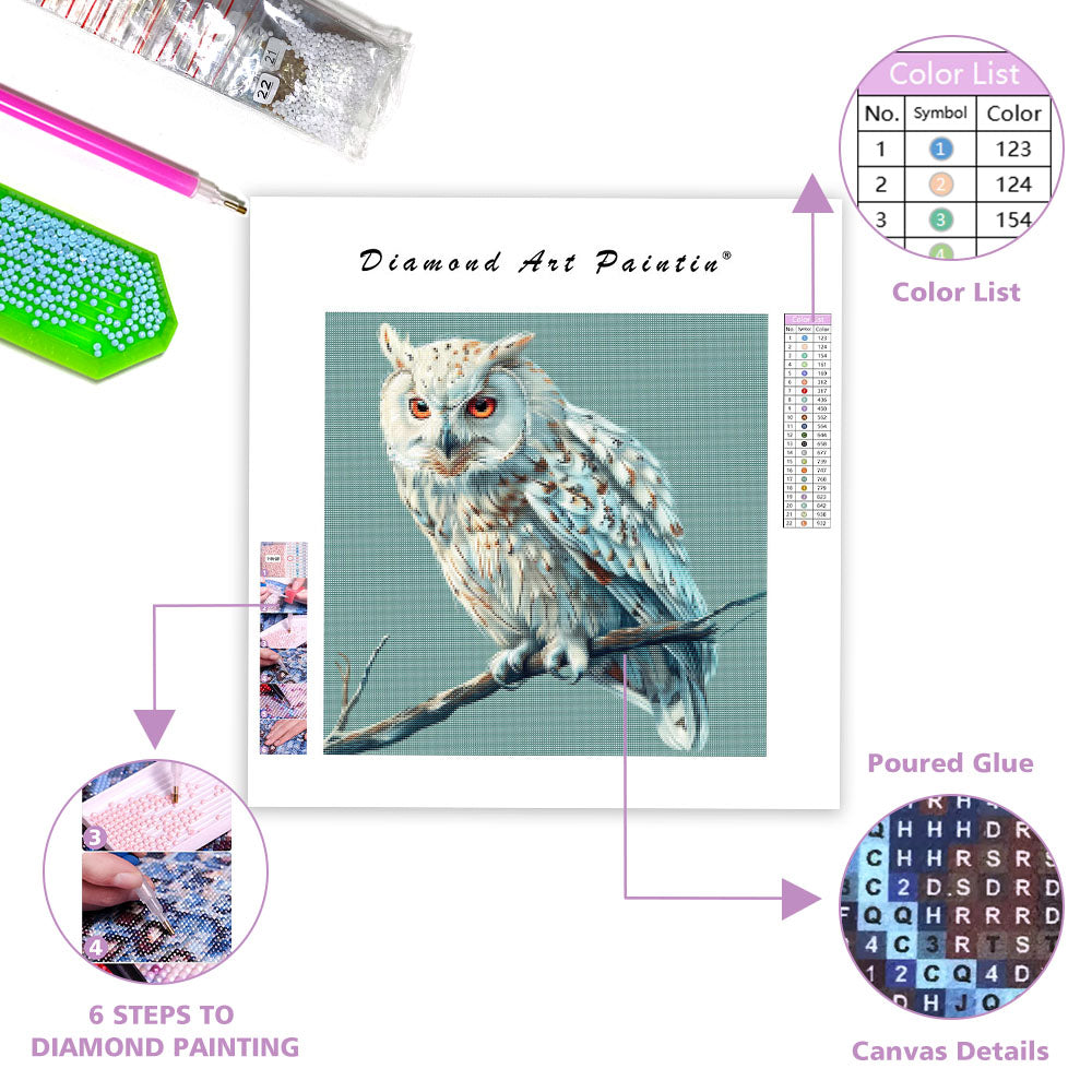 Fridfull Uggla - Diamantmålning