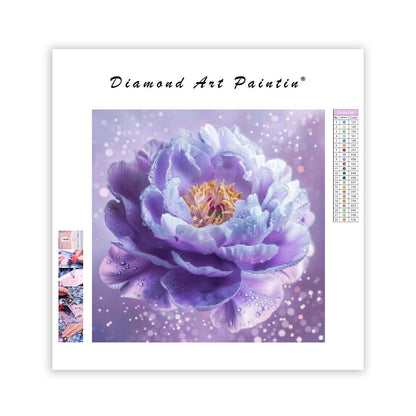 Lila pion - Diamantmålning
