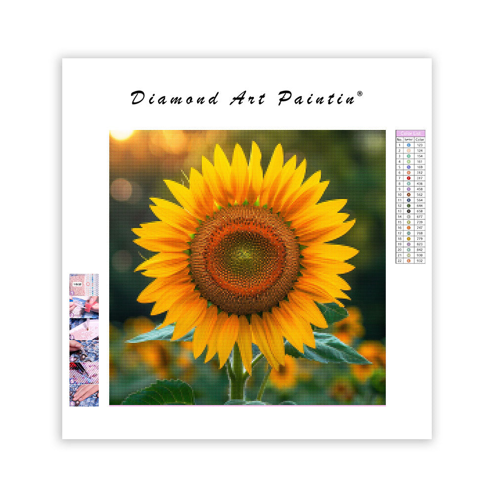 Solrosglans - Diamantmålning