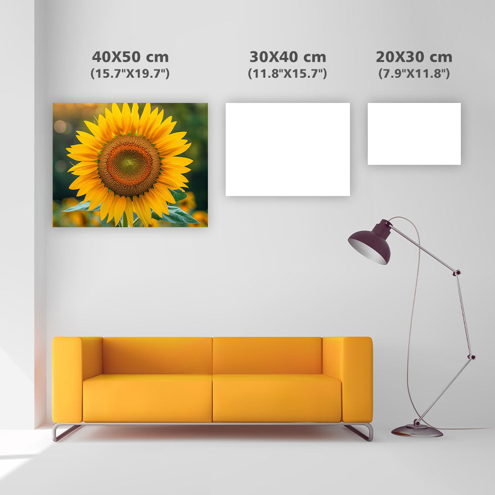 Solrosglans - Diamantmålning