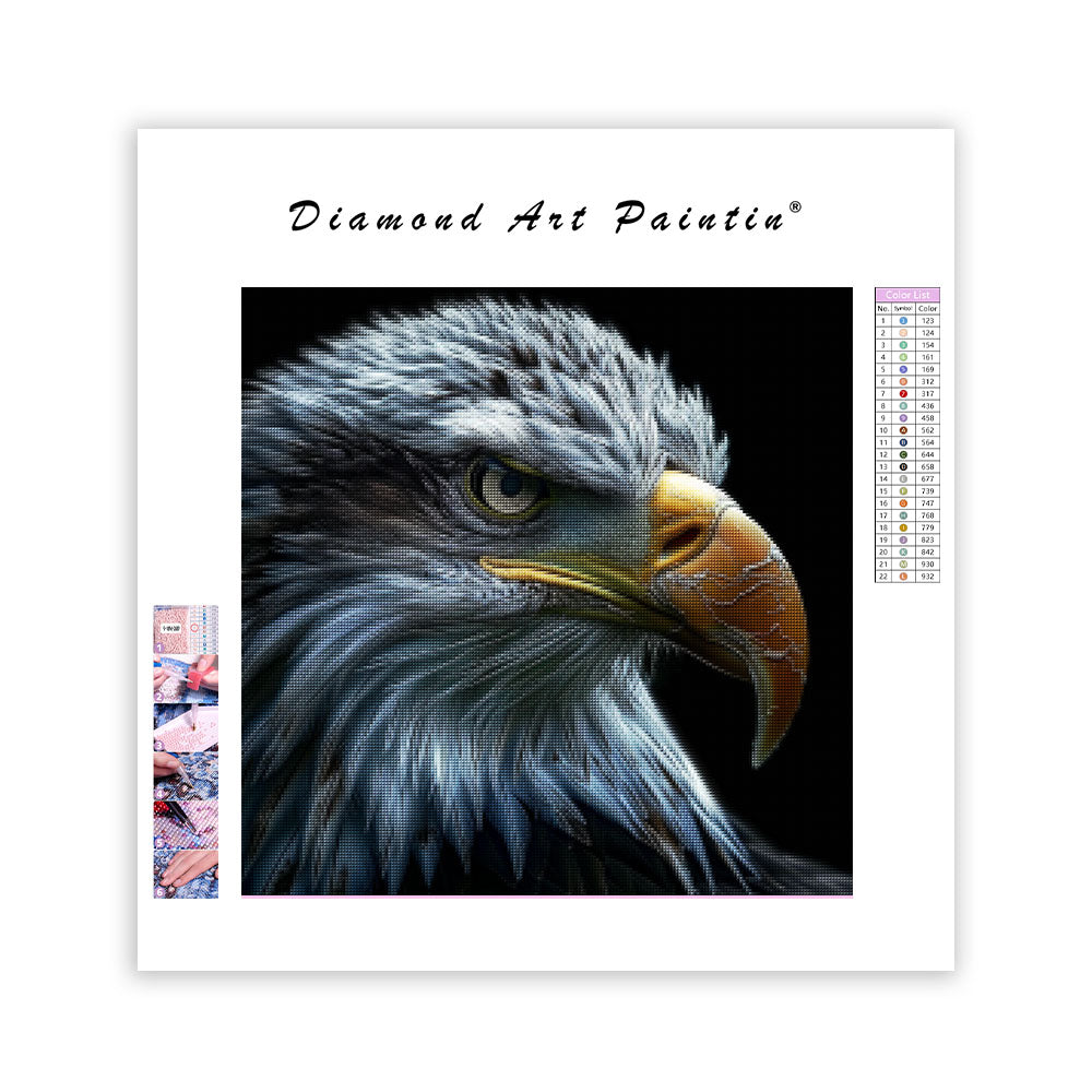 Örnens blick - Diamantmålning