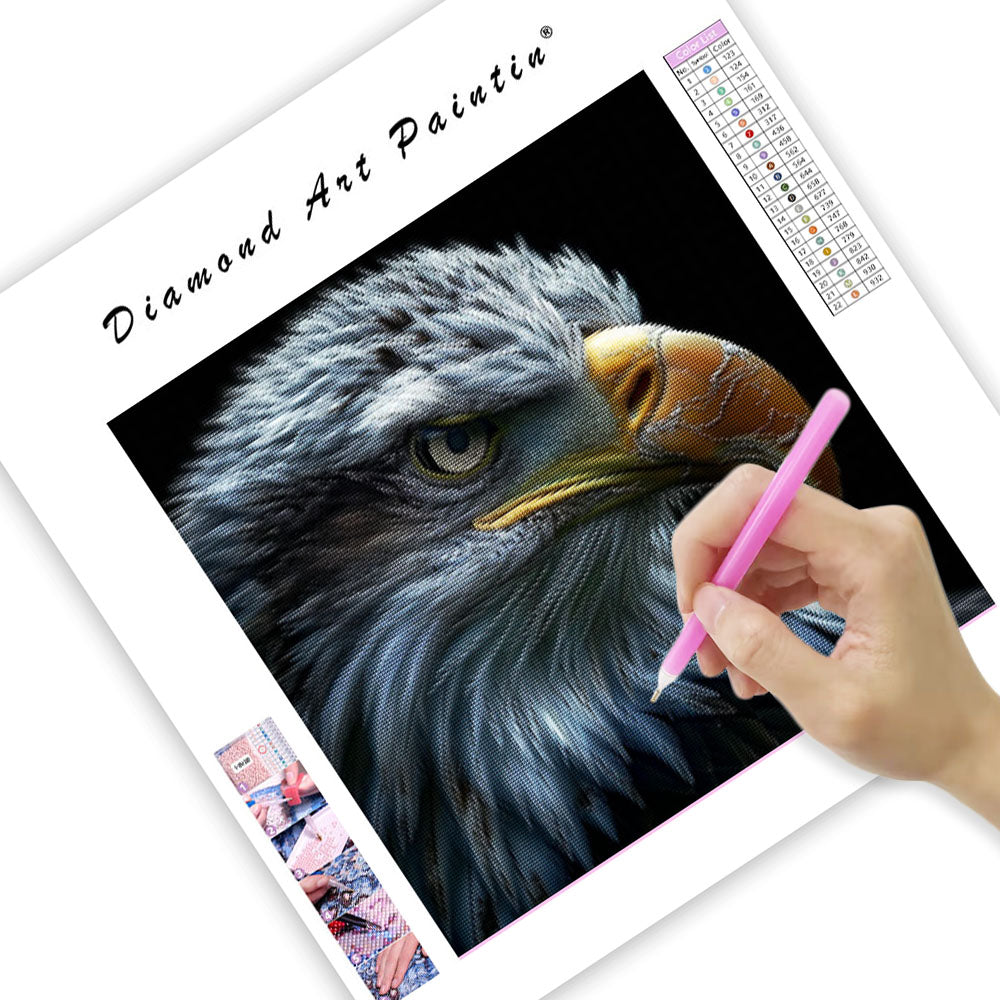 Örnens blick - Diamantmålning