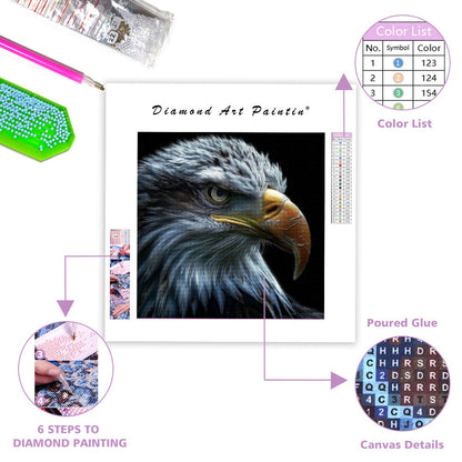 Örnens blick - Diamantmålning