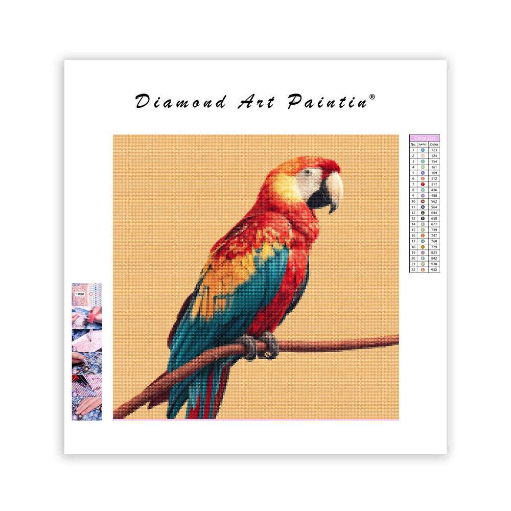 Tropisk papegoja - Abborre - Diamantmålning