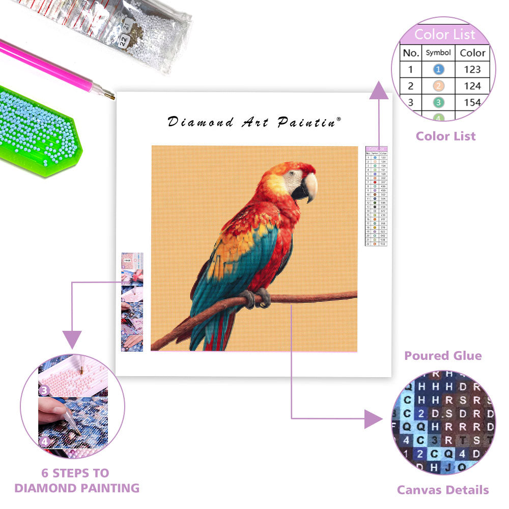 Tropisk papegoja - Abborre - Diamantmålning
