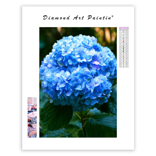Blå hortensia – Diamantmålning