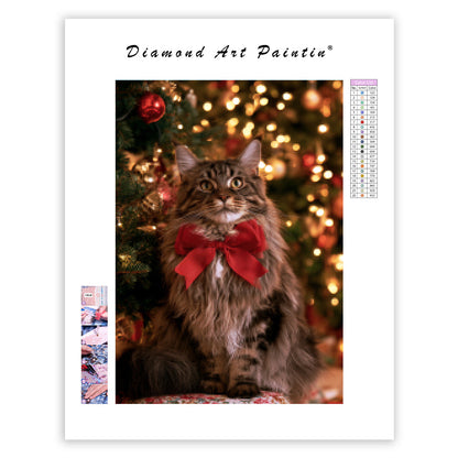Maine Coon till jul - DiamantmåLning